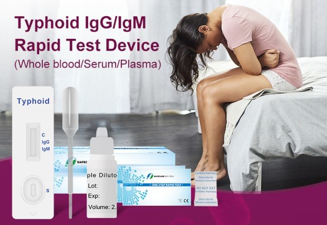 Typhoid IgM / IgG Rapid Antibody Test Cassette One Step 40 Tests/Kit