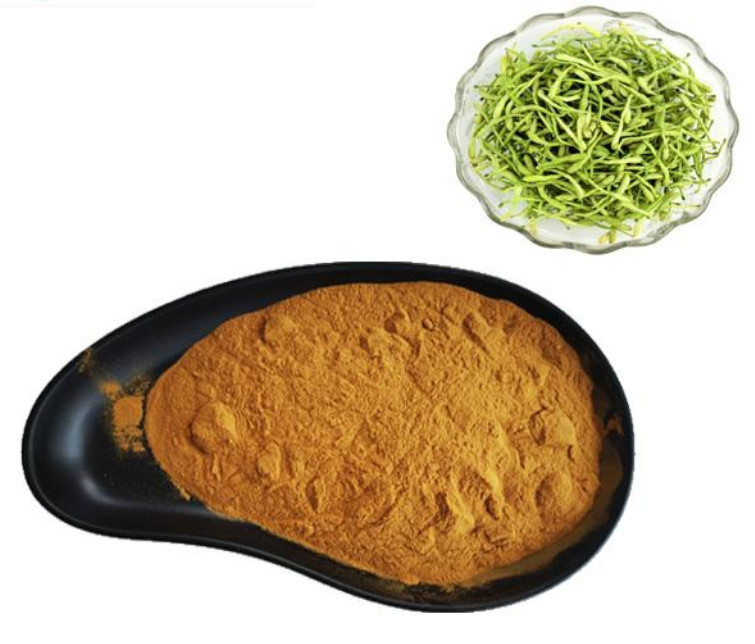 Honeysuckle Flower Plant Extracts Chlorogenic Acid 5% Anti Virus