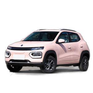 China Nanobox Suv Dongfeng EV Car 5 Door 4 Seat Hatchback Electric Car wholesale