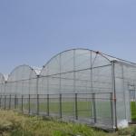 Hydroponic Complete Thailand Multi Span Greenhouse Side Ventilation Industrial