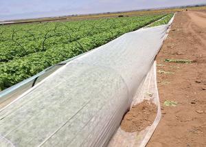 China Anti Aging Agricultural Non Woven Crop Cover 100% Polypropylene Material wholesale
