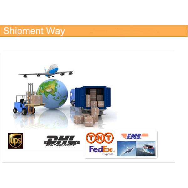 Green Backlight LCD Display Digital Luggage Scale with Temperature Function Weighing Scales