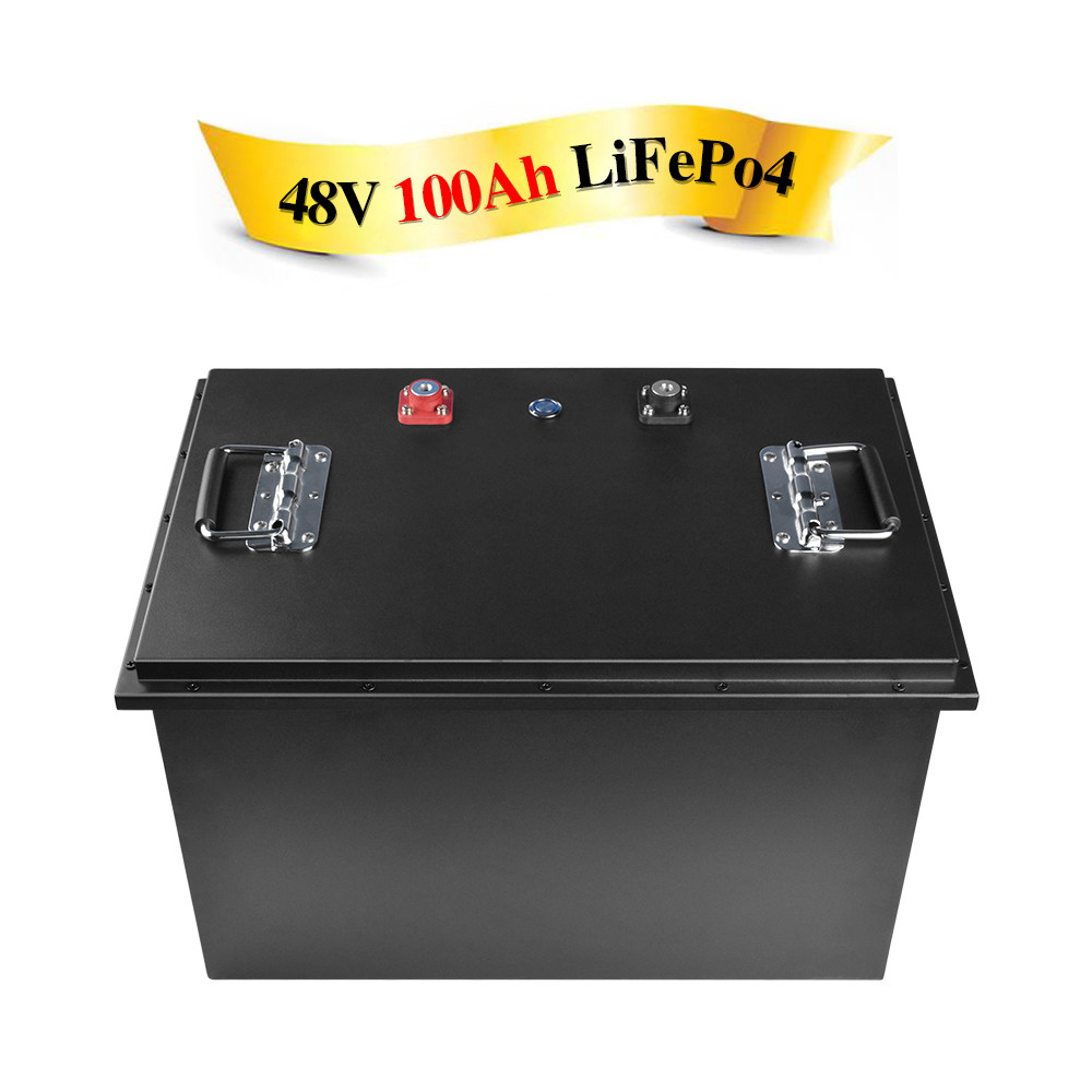 Lithium Ion Battery Pack Waterproof Prismatic Cell Lifepo4 16s 48v Bms 100ah