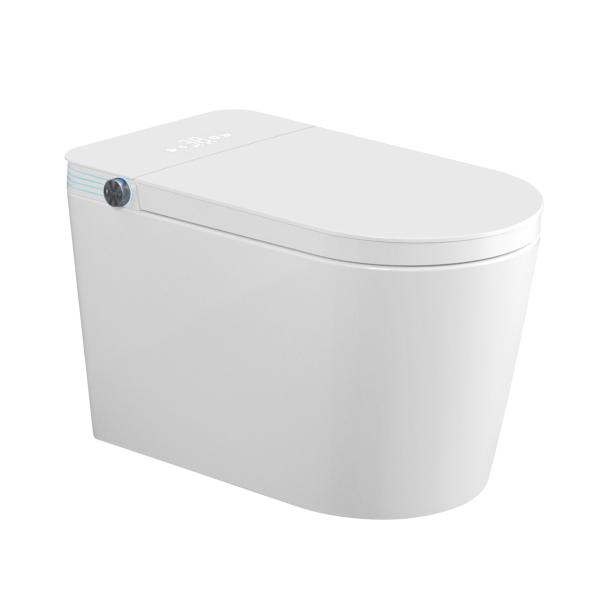 Automatic Flush Voice Control Intelligent Smart Toilet Luxury Style With Night