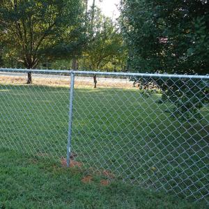 China Hot Dipped Galvanized Chain Link Fence PVC Coated 50ft Length wholesale
