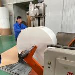 ODM Flexographic PE Coated Paper Roll Anti Curl