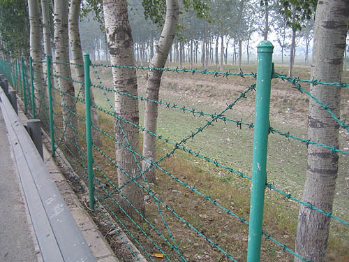 Galvanized Barbed Wire Farm Fencing Single Twist And Three Twist Weaving 7.5cm-15cm Barbed Distance