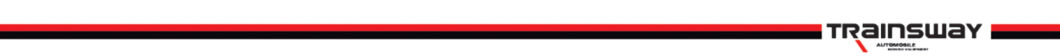 Trainsway Zh665r Auto Tire Changer