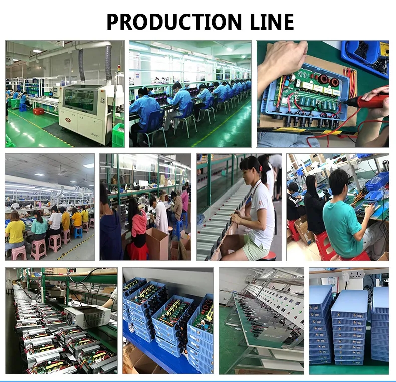 Customizable LOGO On Grid Micro Inverter System With WIFI Cloud Monitoring Isolated Island Protection 300w 600w 800w