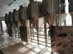 2000L Beer Fermentation Equipment Commercial Beer Fermenter Touch Screen Control