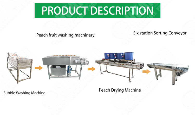 Hot selling Factory Direct Vegetable Washing Machine Industrial by Huafood