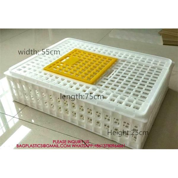 Chicken Transport Cage Adult Birds Cage Cage Poultry Transport Cage Box Transportation Crate