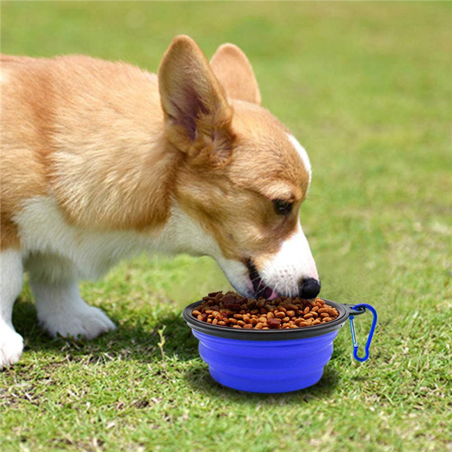 Large 80g Pet Feeder Bowl 1100ml Collapsible Water Bowl
