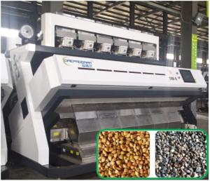 China Buckwheat Color Sorter Intelligent Removal For Fagopyrum Esculentum wholesale