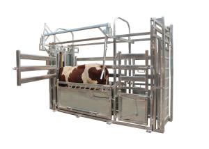 China OEM Hot Galvanized Livestock Fencing Carbon Steel Cattle Crush Headlock wholesale
