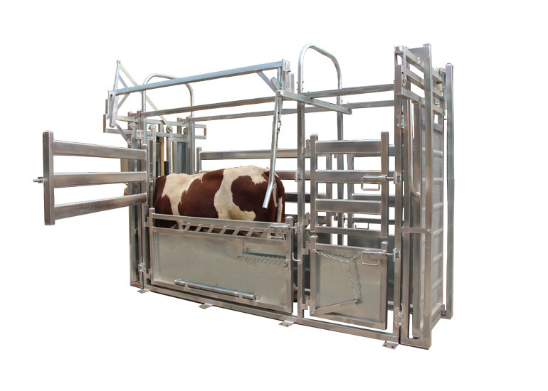 Headlock Galvanized Livestock Fencing
