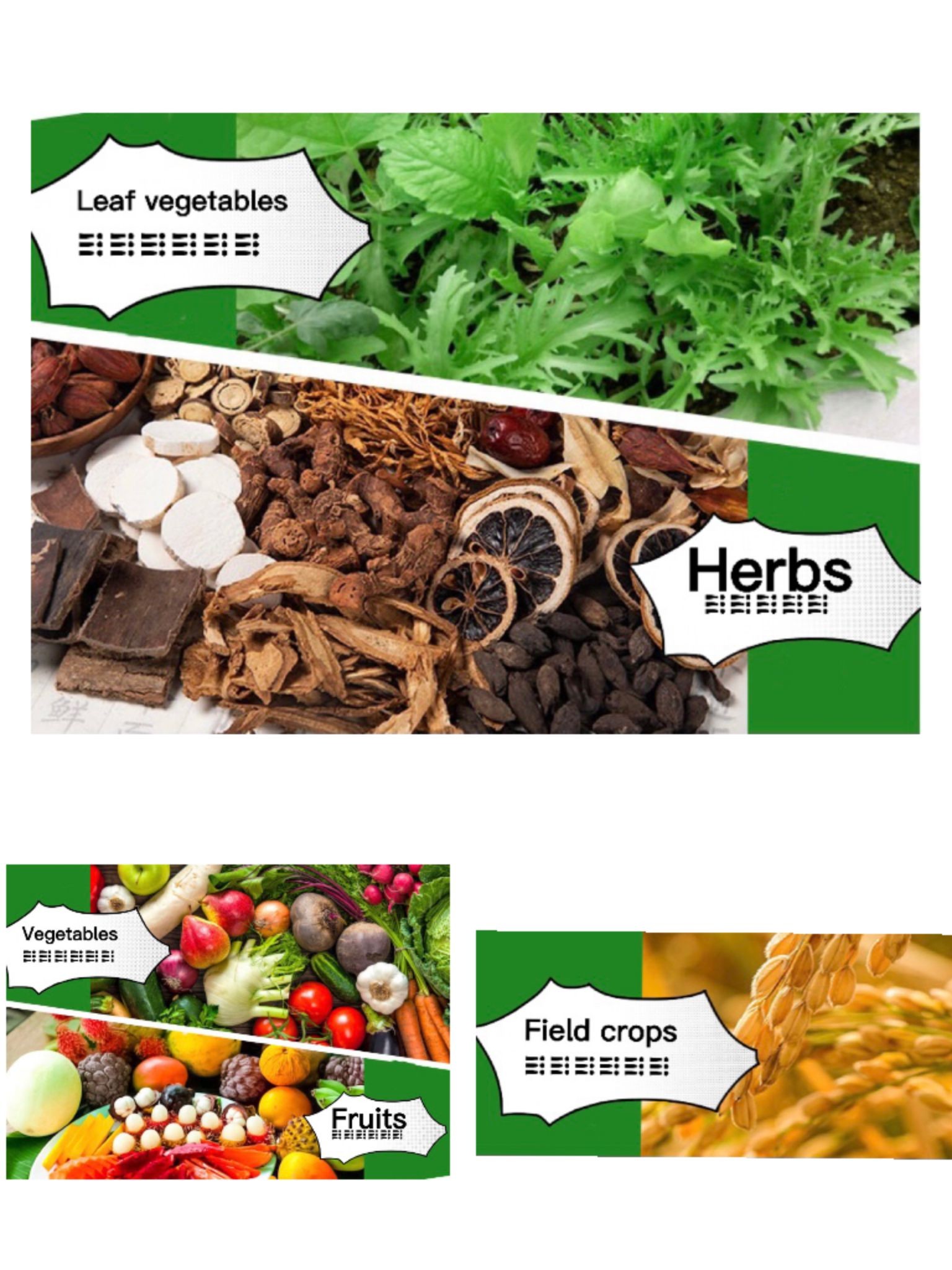 Highly Concentrated Water Soluble Liquid Fertilizer NPK With Comprehensive Nutrition