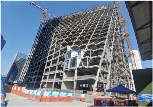 China Customization Steel Structure High Rise Building Conference Hall CE Certified wholesale