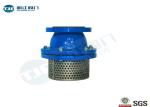 Cast Iron Body Flanged Non Return Foot Valve With Stainless Strainer PN10 Class