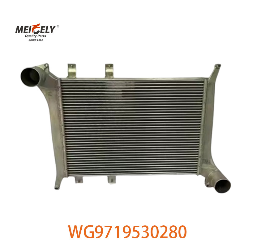 OEM WG9719530280 For Howo Intercooler Assembly WG9719530281