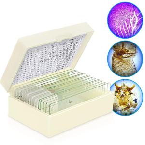 China Laboratory Biology Research 25pcs 30pcs Glass Microscope Slide wholesale