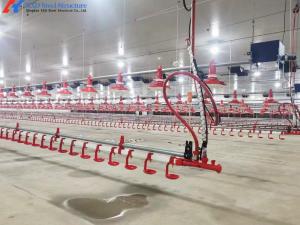 China OEM ODM Broiler Poultry Equipment Customized Broiler Pan Feeder wholesale