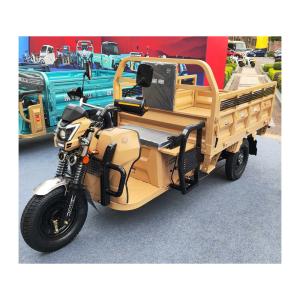 China Grade Ability ≥25° Adult Cargo Tricycle Perfect for Heavy Load Transportation wholesale