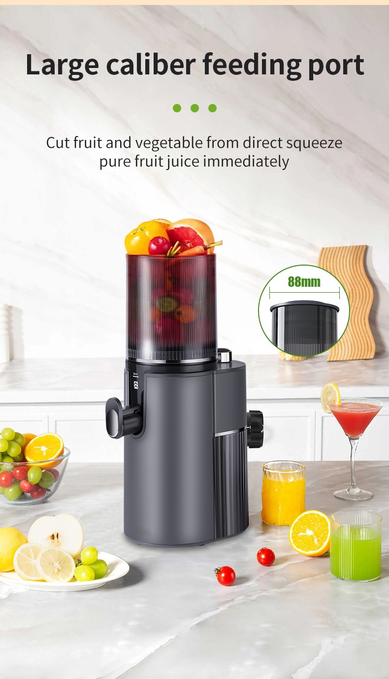 Original Fruit Vegetable Juice Cold Press Slow Juicer Machine with NO App-Controlled