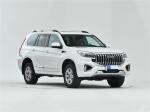 Great Wall Haval Off Road Vehicle SUV Gasoline 5-Seater 7-Seater Rear Drive Four