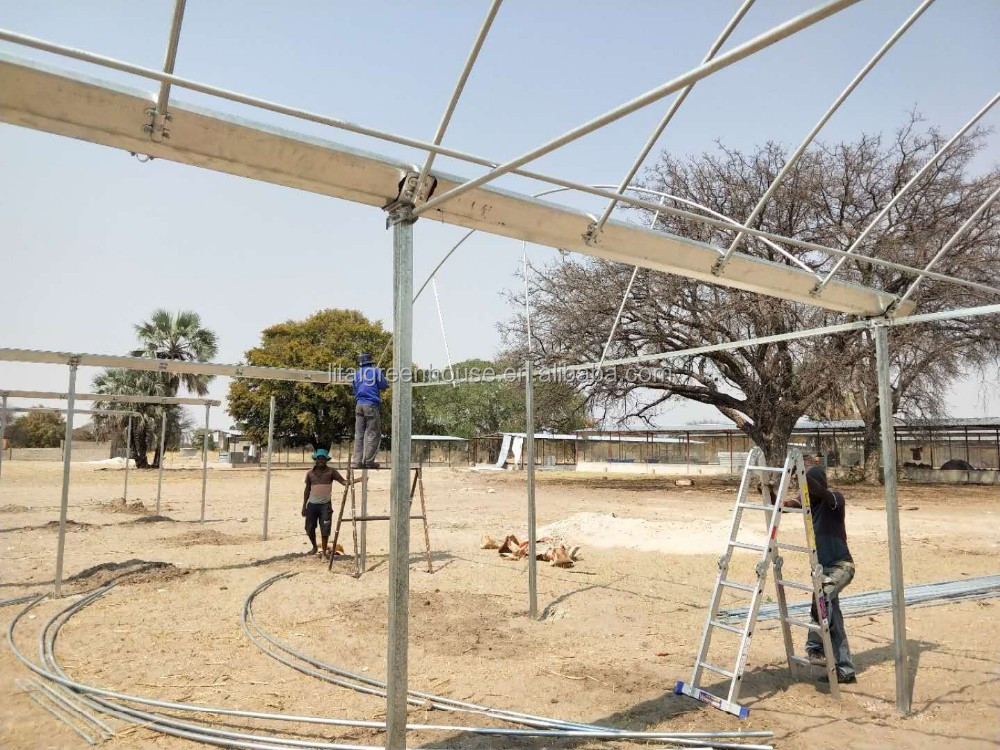 Single Layer Roof and Side Ventilation Namibia Commercial Greenhouse for Tomatoes Farming
