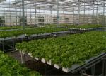 Good Ventilation Greenhouse Rolling Benches , Greenhouse Seedbed System 1.2 - 5