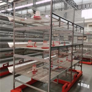 China Fireproof 3 Tiers Poultry Battery Cages Farming Poultry Equipment wholesale