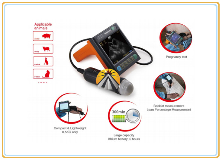 Digital Veterinary Ultrasound Scan Machine For Equine / Bovine 625G Weight