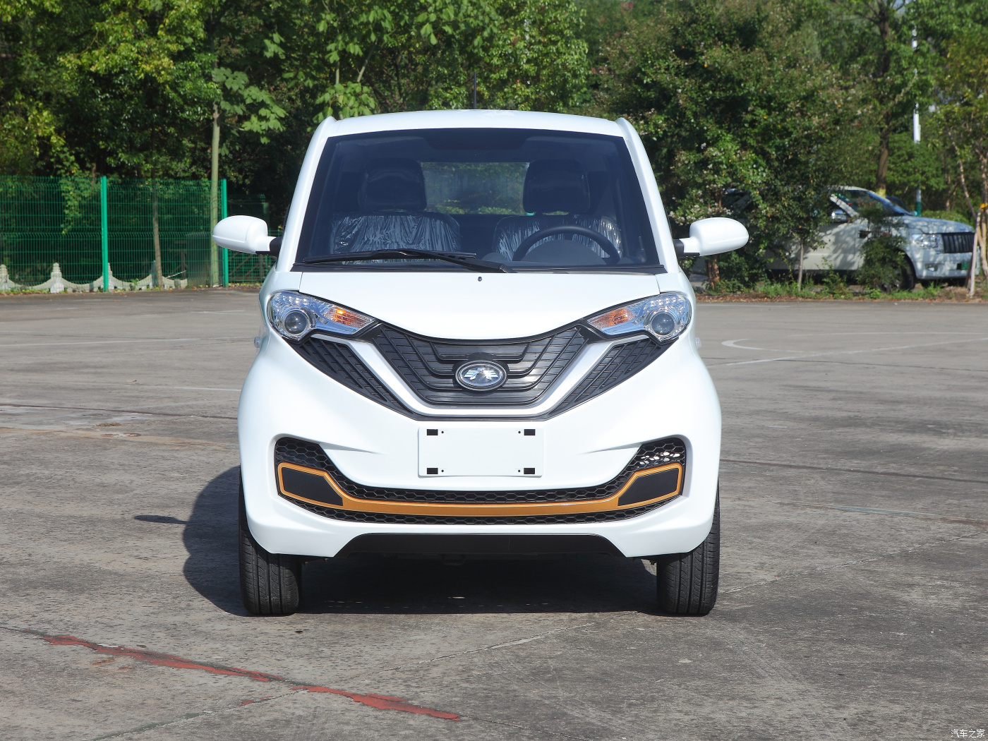 New Energy Mini EV Cars