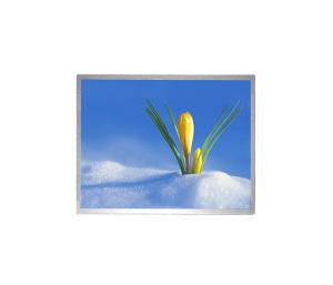 China AUO G170ETN02.0 17 Inch Industrial LCD Panel With 16.7M Colors 1280 X 1024 Resolution wholesale