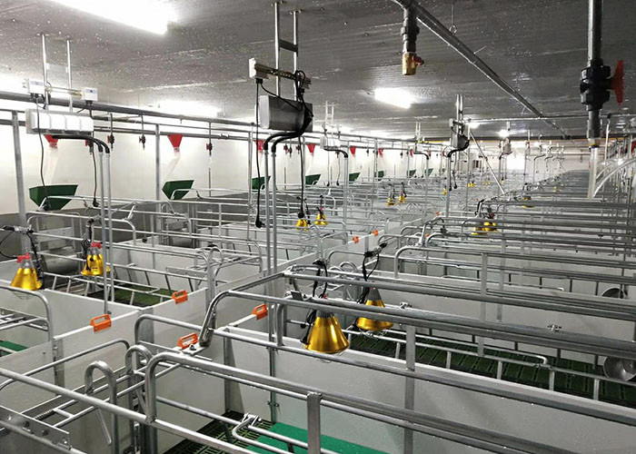 BMC Piglets Floor Sow Farrowing Crate Farrowing Stall CE SGS