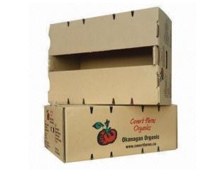 China Vegetable / Fruit Packing Boxes , Cardboard Storage Boxes Offset Printing wholesale