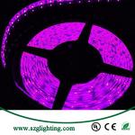 Flexible LED Strip, LED Strip Light (SMD5050, 3528, 3014, 2835, 5730)