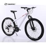 Custom 21 Speed Mountain Bike with Simulated Carbon Fiber Frame and 29" Carton