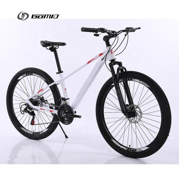 Custom 21 Speed Mountain Bike with Simulated Carbon Fiber Frame and 29" Carton