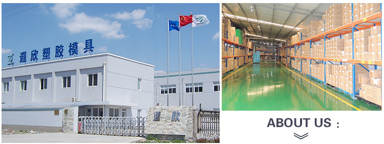 DME Abs Plastic Injection Molding 1000T Custom Molded Plastic Parts