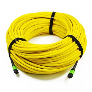 China Singlemode 12 Fiber 9/125 OS2 MTP MPO Fiber Patch Cable wholesale
