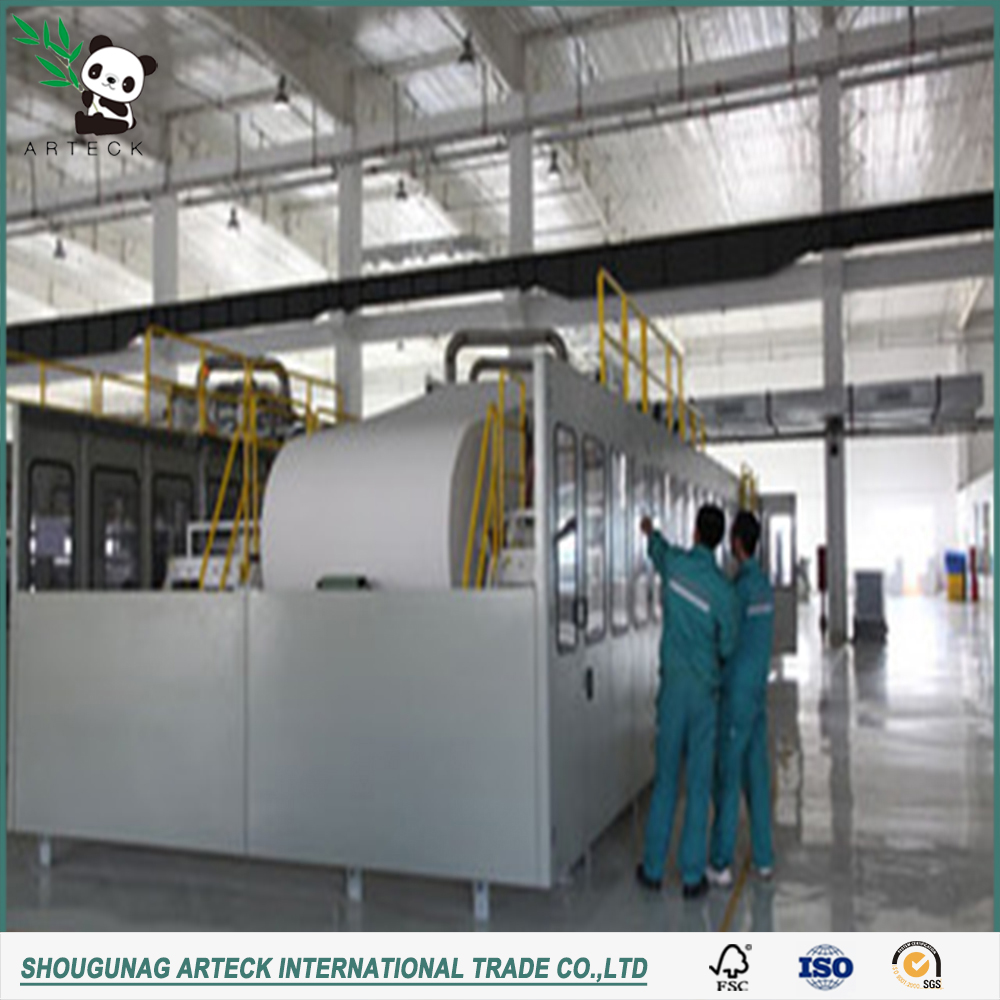 Moisture Proof Ningbo Fold C1S Ivory Board for Customized Printing and Packaging Sale