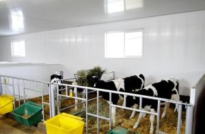 China High Gloss Printing 5mm - 10mm PVC Ceiling Panels For Farm Wall / Roof CE wholesale