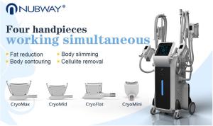 China cryolipo slimming mchine ICE shaping IV pro wholesale