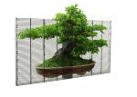 Ultra Thin LED Display P12mm transparent glass advertising