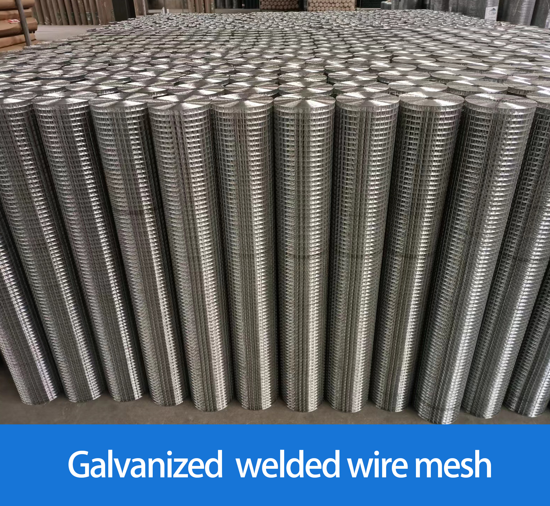 Widely Used Galvanized Welded Wire Mesh For Chicken Pens And Galvanized Welded Wire Mesh Cage
