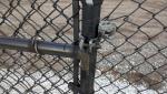 Protected Products Chain Link Fence for Ball Park 4FT height ,6FT Height ,8FT