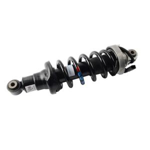 China Electric Adjust Shock Absorbers For Audi R8 Rear Coilover Suspension Shock Absorber Kits 420512019AL 420512020AL wholesale