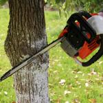 Heat Resisting 58cc 52cc Gasoline Chainsaw For Cutting